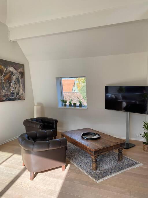 Les Murmures Des Toits - Hypercentre - Garage Prive Appartement Colmar