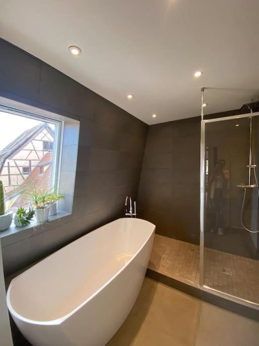Les Murmures Des Toits - Hypercentre - Garage Prive Appartement